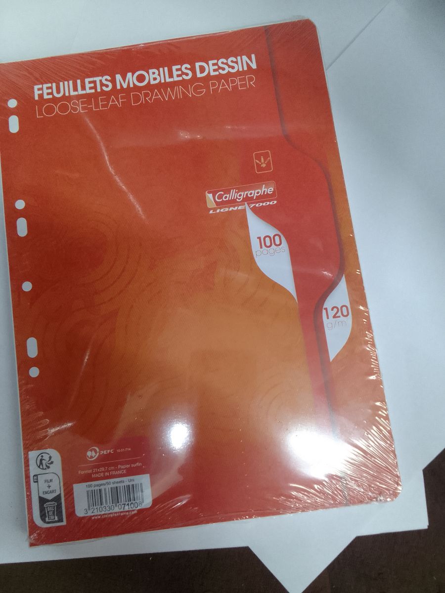 Feuillets mobiles dessin calligraphe